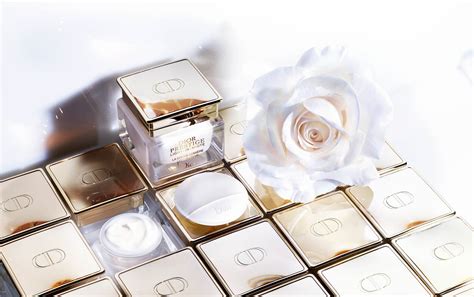 christian dior cosmetica|who owns Christian Dior cosmetics.